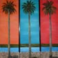 Palmera