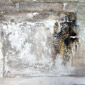 Pared