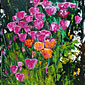 primavera 03